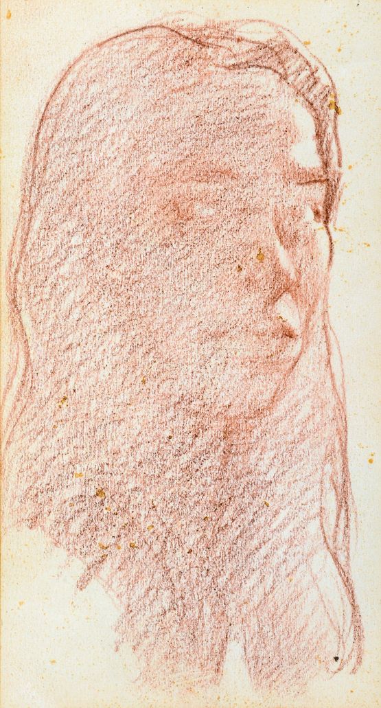 Liu Dan Self-Portrait by Liu Dan contemporary artwork Works on Paper
