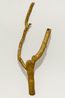 Topographic Specimens 14 by Adip Dutta contemporary artwork Sculpture