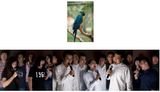 Absent Expression by Zhu Jia contemporary artwork photography