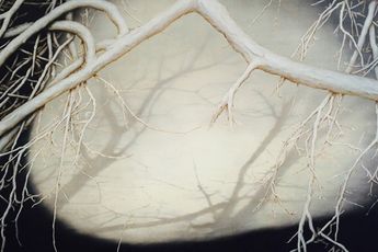 Contemporary art exhibition Andrew Browne Glimpse  at Martin Browne Contemporary Sydney Australia