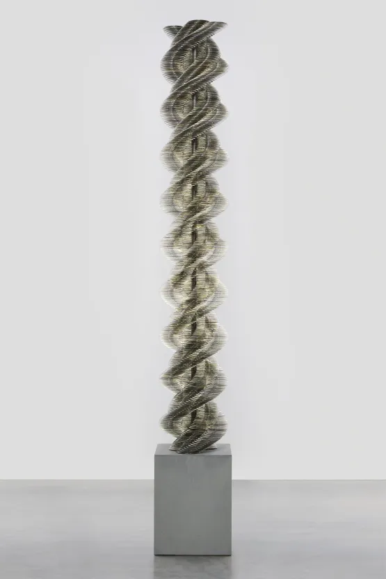 Stratagem II by Tara Donovan contemporary artwork Sculpture
