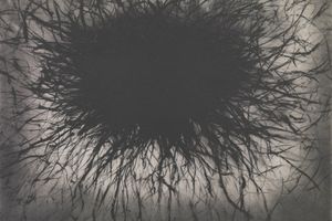 Anish Kapoor