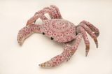 Nebula by Joana Vasconcelos contemporary artwork sculpture