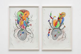 Tadaskia contemporary artist