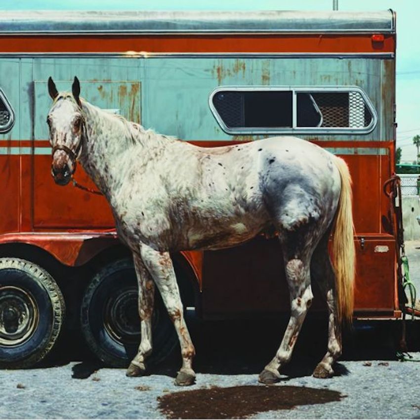 RICHARD MCLEAN