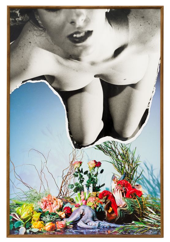 Passions Bloom Ambitions - 46 by Birdhead contemporary artwork Works on Paper