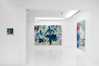 Luciana Maas contemporary artist