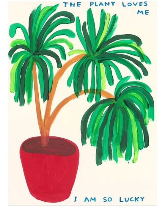 The Plant Loves Me by David Shrigley contemporary artwork Print