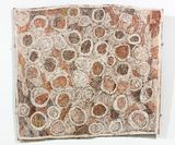 Coloured Circles by Nyapanyapa Yunupiu contemporary artwork mixed media