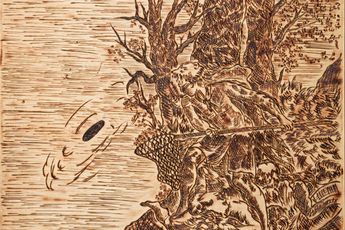 Cole Lu contemporary artist
