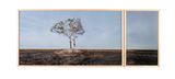 Temporary Monument 4 Enforcado by Fyodor Pavlov-Andreevich contemporary artwork photography