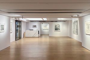 Alisan Fine Arts Central contemporary art gallery in Central Hong Kong
