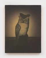 Owl by Christian Franzen contemporary artwork painting