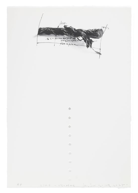 Like-150mm by J Young contemporary artwork Works on Paper