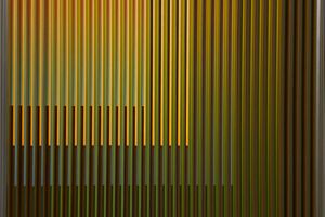 Carlos Cruz-Diez