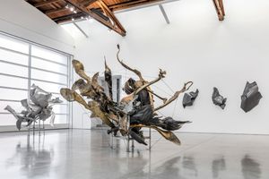 Nancy Rubins