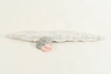 Snuggle by Pin-Tong Huang contemporary artwork painting