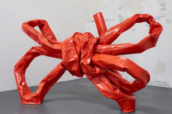 Anna Fasshauer contemporary artist