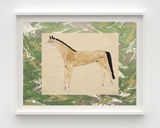Hair Wolf by Wendy Red Star contemporary artwork painting works on paper