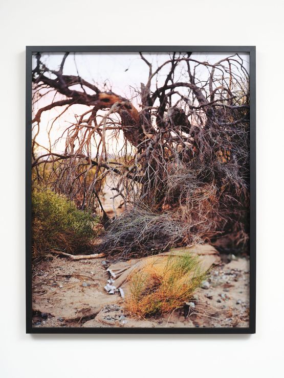 The Mecca Wash by Joyce Campbell contemporary artwork Print