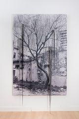 Sin titulo Arbol-Cerro  Untitled Tree-Closed by Carlos Garaicoa contemporary artwork mixed media photography