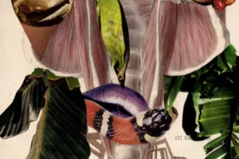 Wangechi Mutu contemporary artist