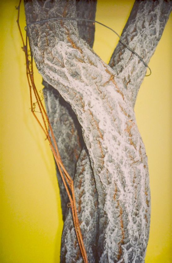 Untitled by Ren Hang contemporary artwork Photography