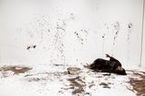 Eins Und Eins by Melati Suryodarmo contemporary artwork photography