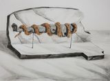 Unearthing by Prabhakar Pachpute contemporary artwork drawing works on paper