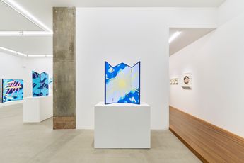 Contemporary art exhibition Noritaka Tatehana Syncretism at KOSAKU KANECHIKA Tennoz Japan