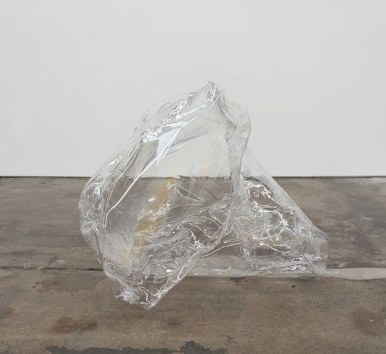 A Sculpture by Mikala Dwyer contemporary artwork Sculpture