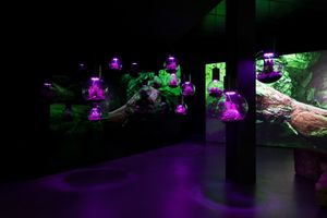 Hito Steyerl