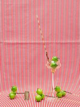 Apples 1 by Annette Kelm contemporary artwork photography