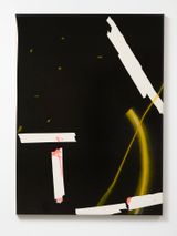 Bad Beast by Tira Walsh contemporary artwork mixed media
