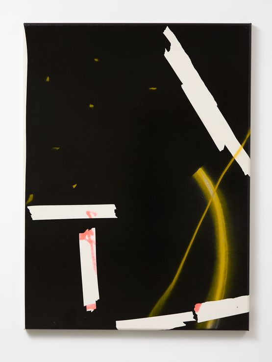 Bad Beast by Tira Walsh contemporary artwork Mixed Media