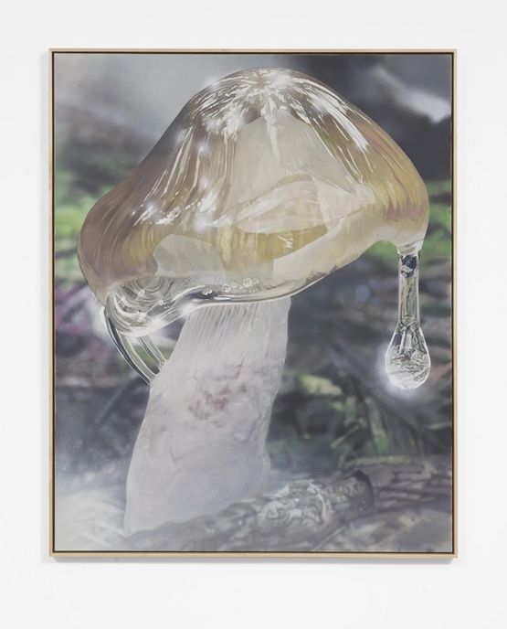 Mushroom 1 Brown cap by Craig Boagey contemporary artwork Painting
