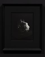 Brittle Object 1 variant Process Study by Joyce Campbell contemporary artwork photography