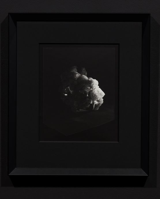 Brittle Object 1 variant Process Study by Joyce Campbell contemporary artwork Photography