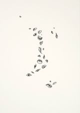 Murmurations of Eyes by Donald Urquhart contemporary artwork drawing