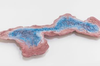Nazgol Ansarinia contemporary artist