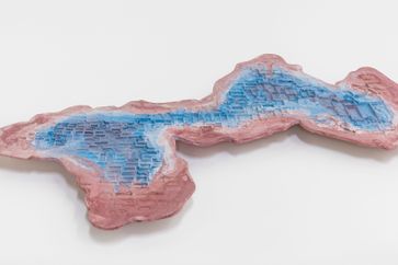 Nazgol Ansarinia contemporary artist