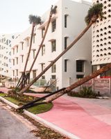 Pink Sidewalk by Anastasia Samoylova contemporary artwork photography