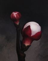 Apricot Flower No.3  No.3 by Yan Bing contemporary artwork painting