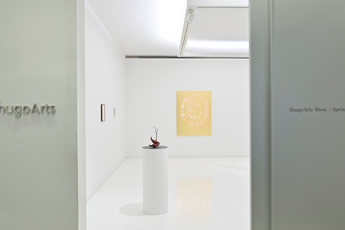 Contemporary art exhibition Group Exhibition ShugoArts Show  Sprout at ShugoArts Tokyo Japan