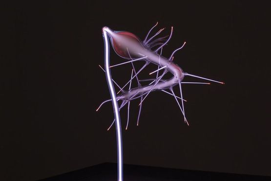 Hallucigenia 6 YOGA by Martin Walde contemporary artwork Sculpture