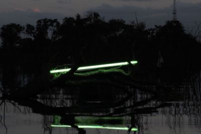 Artist Excellence Award Strives to Concretise the Value of Art in Vietnam