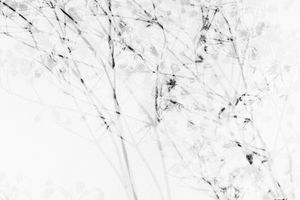 Walter Schels