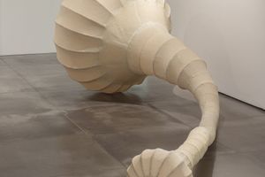 Angelo Venosa