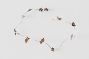 Richard Tuttle