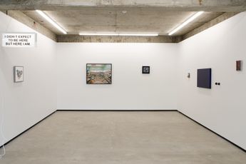 Contemporary art exhibition Group Exhibition Summer Selection at Jhana Millers Wellington New Zealand